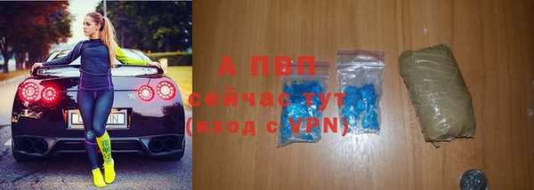 PSILOCYBIN Бородино