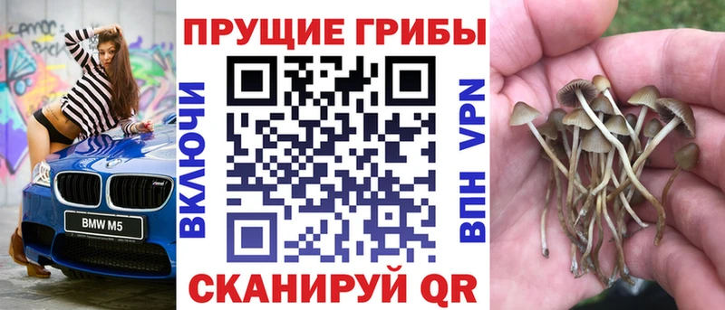 kraken вход  Новое Девяткино  Псилоцибиновые грибы прущие грибы 